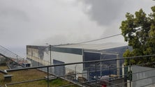 Imagem de Pingo Doce garante normal abastecimento (vídeo)