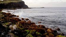 Governo avança com obras de proteção da orla marítima no Faial e na Graciosa (Vídeo)