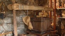 Imagem de Emigrante açoriano cria Museu Etnográfico na ilha Terceira [Vídeo]