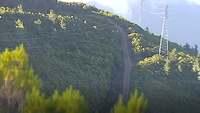 Imagem de MPT está contra asfaltagem da estrada das Ginjas