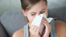 Imagem de Aumento de casos de gripe A na Madeira