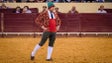 Imagem de Câmara de Lisboa defende fim do financiamento público às touradas