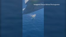 Imagem de Força Aérea e Marinha realiza resgate ao largo do Arquipélago da Madeira