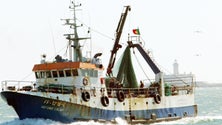 Imagem de Governo da República garante apoios à pesca