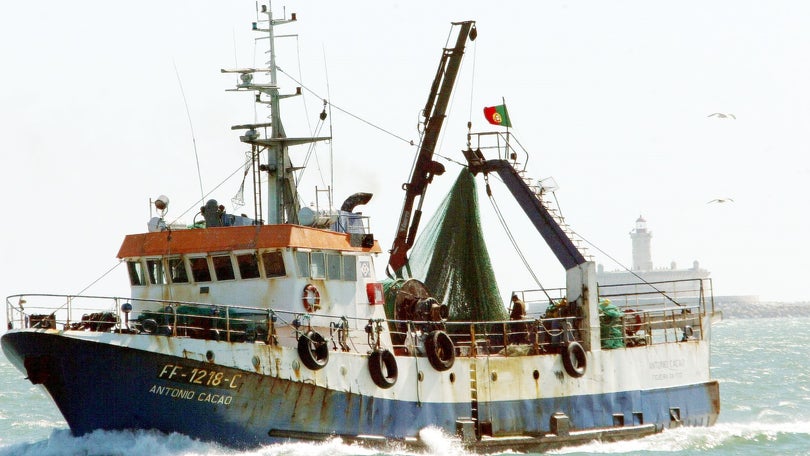 Imagem de Governo da República garante apoios à pesca