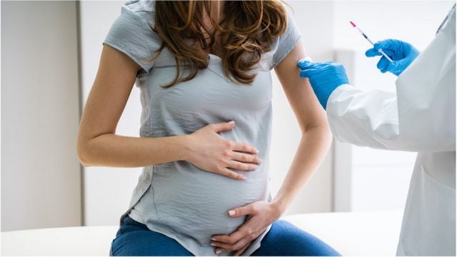 Imagem de Reino Unido prepara vacinação de grávidas