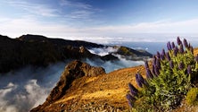 Imagem de Madeira eleita destino preferido da Associação Portuguesa dos Agentes de Viagens e Turismo para 2020 (Vídeo)