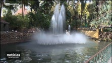 Imagem de Funchal promove campanha para não alimentar os animais em jardins públicos (vídeo)