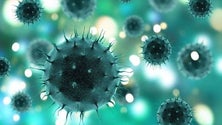 Imagem de Estudo revela que 1% da população da Madeira esteve em contato com o vírus da hepatite B (Vídeo)