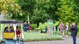 Imagem de A Madeira pode vir a ter um Parque Temático subaquático (Vídeo)