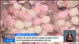 Imagem de Fábrica Santo António espera produzir cerca de 24 toneladas de amêndoas (vídeo)