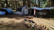 Imagem de Mais de 6 mil pessoas pediram licenças para acampar no ano passado (áudio)