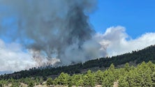 Imagem de Cinzas, enxofre e dióxido de carbono podem cá chegar (áudio)