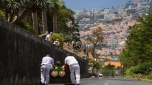 Imagem de Portugal negoceia corredor turístico com Reino Unido (Áudio)