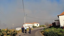 Imagem de Bombeiro ferido no combate ao fogo na Ponta do Pargo (Vídeo)