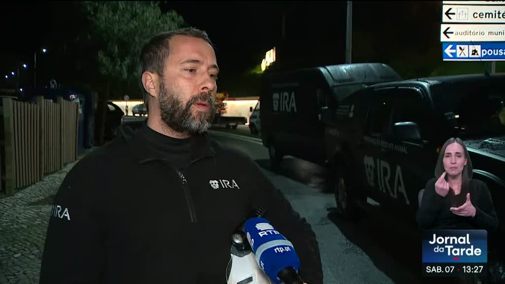 Imagem de Operações de resgate. Segurança de animais é preocupação