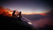 Imagem de Incêndios: Fogo dominado em Ourém