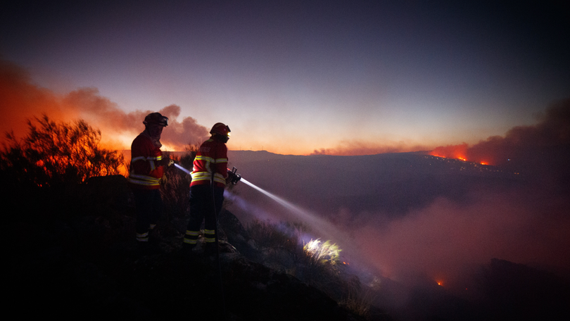 Imagem de Incêndios: Fogo dominado em Ourém