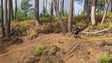 Imagem de Prazeres receberam a última prova da época de Downhill (vídeo)