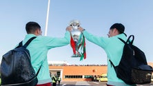 Imagem de Seleção nacional recebida em euforia na Madeira