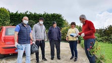 Imagem de Câmara do Porto Moniz distribui raticida e moluscicida