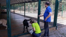 Imagem de PAN dá nota negativa à atuação do Governo Regional em matéria ambiental
