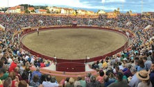 Corrida de Toiros das Festas da Praia está em risco (Vídeo)