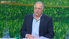Imagem de Rui Fontes prepara projeto inovador (áudio)