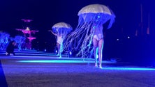 Imagem de Espetáculo circense deixa mensagem dedicada aos oceanos