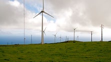 Imagem de Governo vai lançar programa para as alterações climáticas (Vídeo)