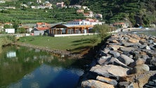 Imagem de Quercus critica intervenção da Sociedade de Desenvolvimento na lagoa do Lugar de Baixo