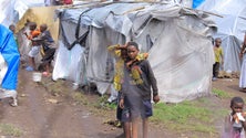Imagem de Número de deslocados na República Democrática do Congo está nos 6,3 milhões