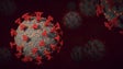 Índice de transmissibilidade do coronavírus SARS-CoV-2 subiu para 0,98 (vídeo)