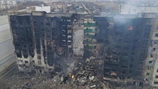 Imagem de Cessar-fogo humanitário acordado