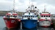 Frota madeirense capturou 1.650 toneladas de atum em apenas dois meses