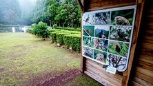 Imagem de Projeto “Terras do Priolo” recebe verba de 4 milhões de euros (Som)