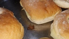 Imagem de «Alimentação está péssima e alojamento nem se fala» (áudio)