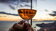 Imagem de Impacto da tecnologia no Vinho Madeira vai ser alvo de estudo