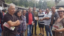 Imagem de Bloco de Esquerda defende maior produção agrícola na Madeira