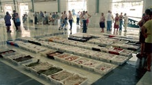 Imagem de Preço médio do pescado em lota sobe quase 15% em 2022