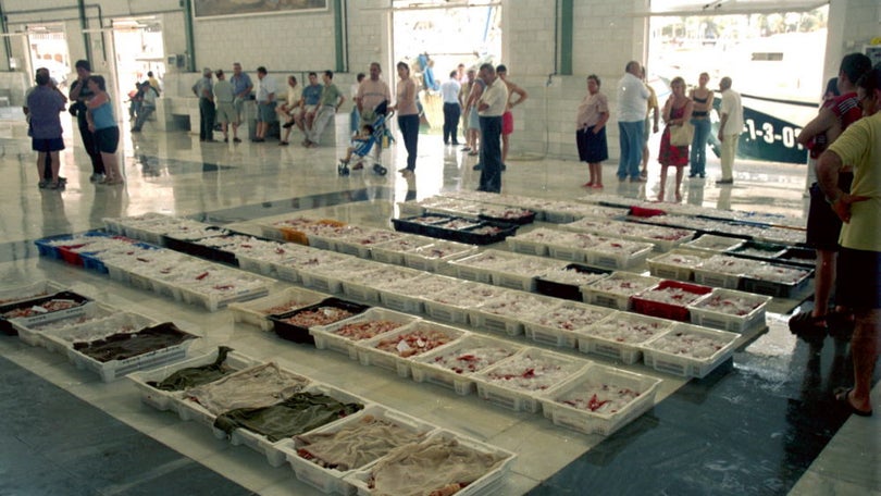 Imagem de Preço médio do pescado em lota sobe quase 15% em 2022
