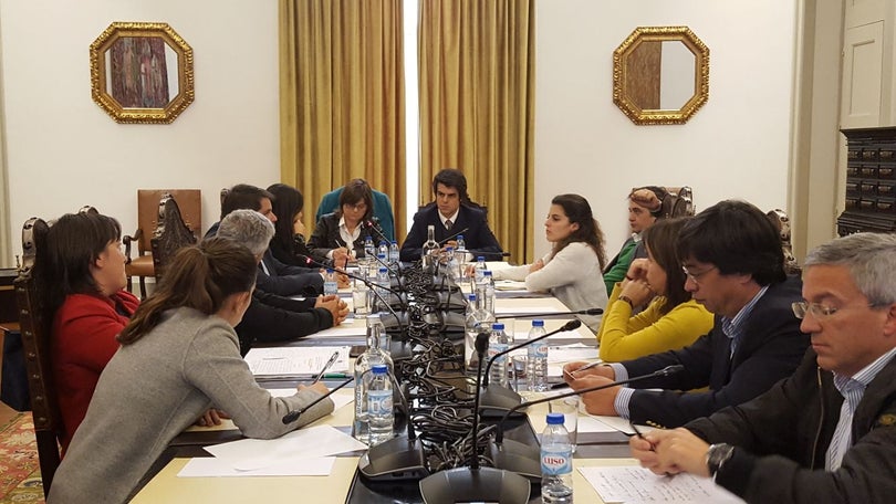 Imagem de Idalina Perestrelo recusa falar sobre acidente do Monte