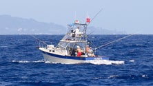 Equipa da Suécia vence Azores Big Game Fishing [Vídeo]