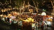 Imagem de Funchal licencia mais de 50 barracas para arraial do Monte