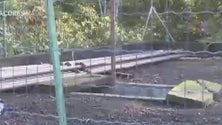 Imagem de Funcionário da câmara das Lajes do Pico morre quando reparava furo de água (Vídeo)