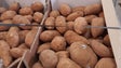Exportar batata para França (vídeo)