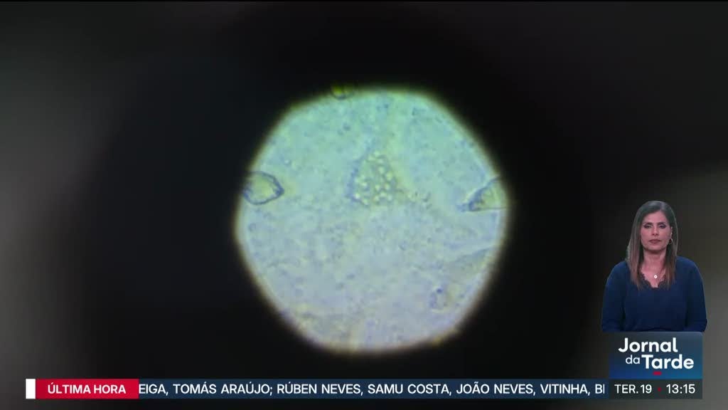 Dois em cada três portugueses sobrevivem ao cancro ao fim de 5 anos