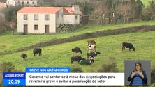 Imagem de Novo matadouro de São Jorge vai custar 5 milhões de euros [Vídeo]