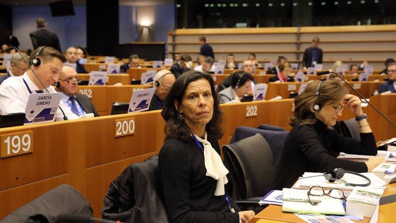 Imagem de Madeira defende continuidade do FSE no período pós 2020