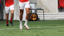 Imagem de Barreiros com o melhor relvado da jornada nos «campos» da I Liga